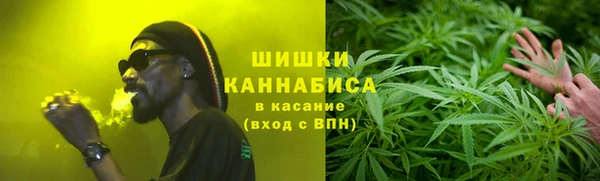 дмт Новокубанск