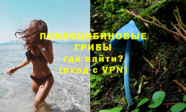 наркотики Новодвинск