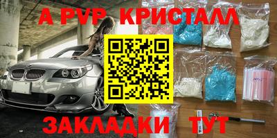 хмурый Тула