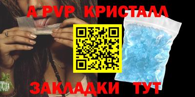 хмурый Тула
