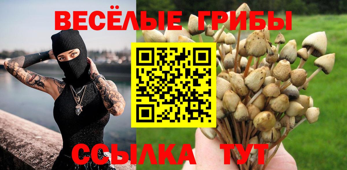 Псилоцибиновые грибы Psilocybe  Галлюциногенные грибы ЛСД  Тюмень  Вход с VPN 