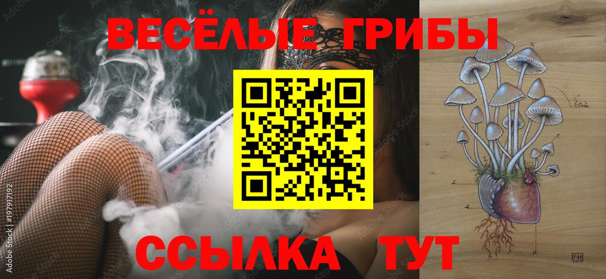 Галлюциногенные грибы прущие грибы Тюмень